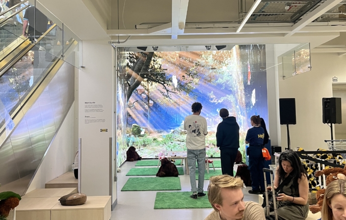 ikea experiential marketing for marketing inspiration day